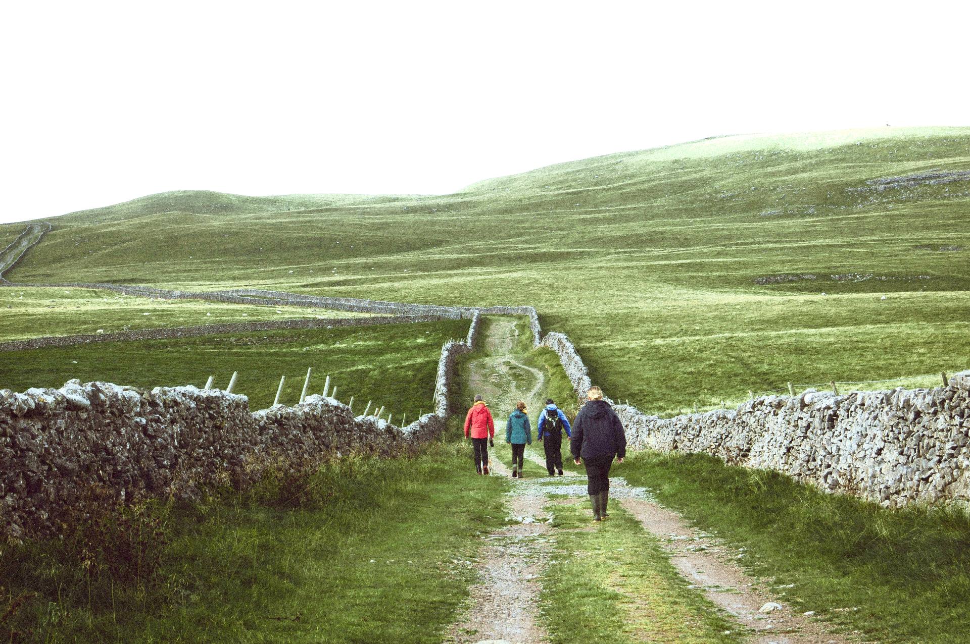 Rolling green landscape with a footpath, representing physical space